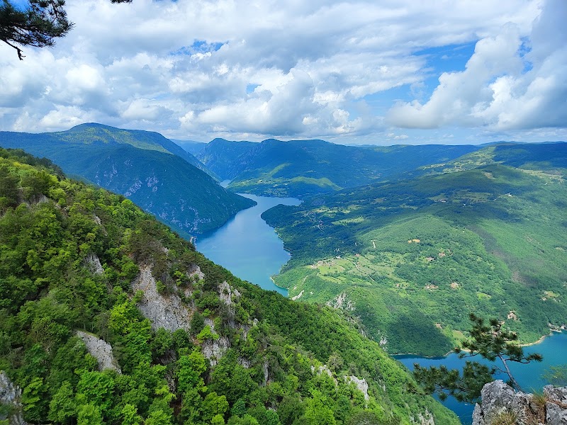 Tara National Park