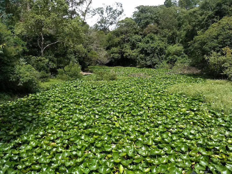 Kattery Water Falls - Kattery Water Falls, 8PQP+3XR, Katteri, Tamil Nadu 643213, India
