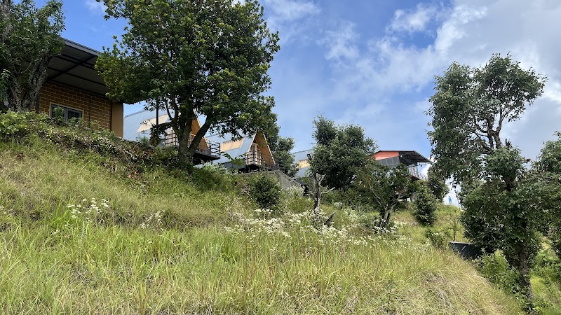 Kanatal Farm Stay - Kanatal Farm Stay, 99GC+MW Chaukhal, Manjyar Gaon, Dhanaulti, Kanthar Gaon, Uttarakhand 249145, India
