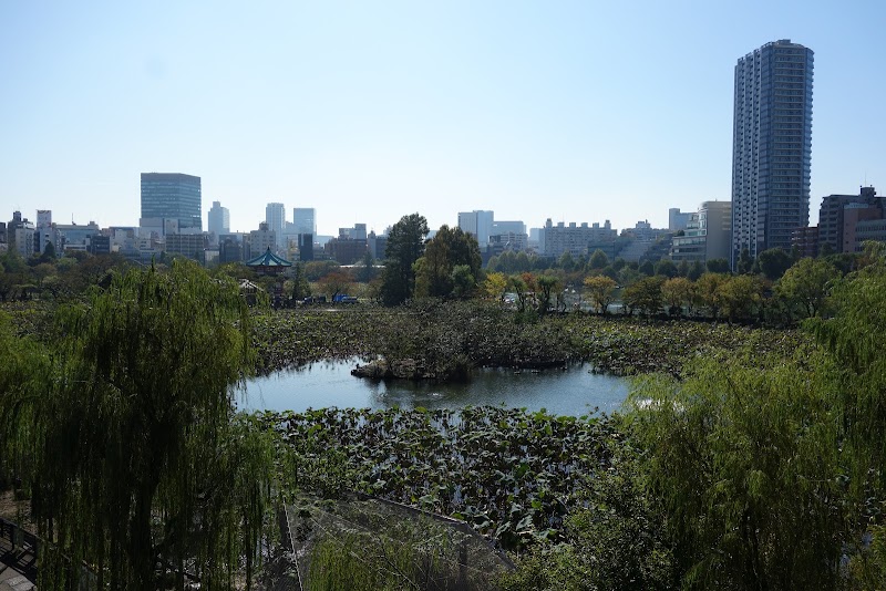 Shinobazuno Pond - Shinobazuno Pond Shinobazuno Pond, 3 Uenokoen, Taito City, Tokyo 110-0007, Japan