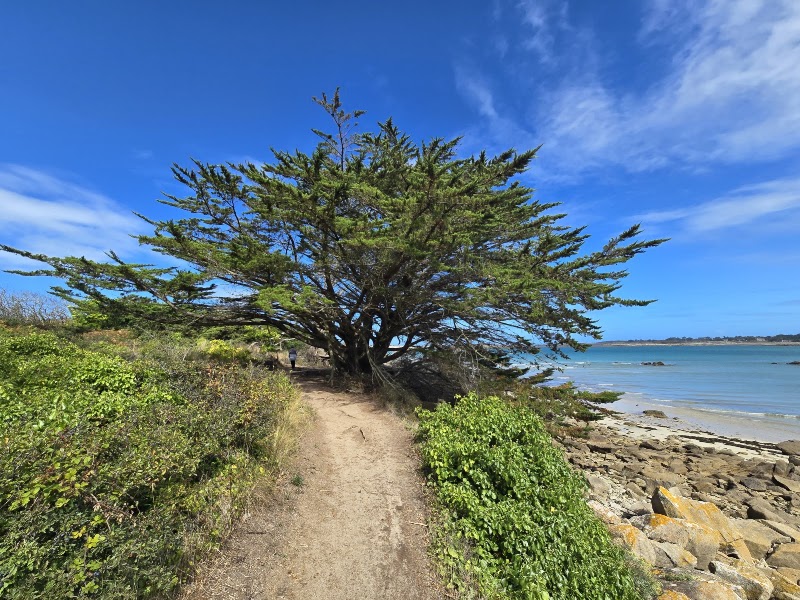 Plage de Pors Gelen - Plage de Pors Gelen, 22560 Pleumeur-Bodou, France