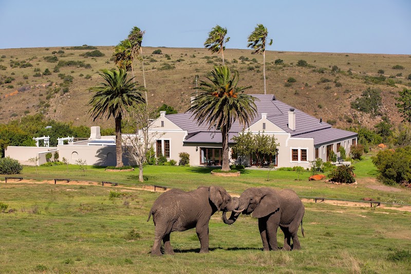 Lalibela Wildlife Reserve - Lalibela Wildlife Reserve, N2 towards Grahamstown 6131 Lalibela Game Reserve, Grahamstown, 6013, South Africa