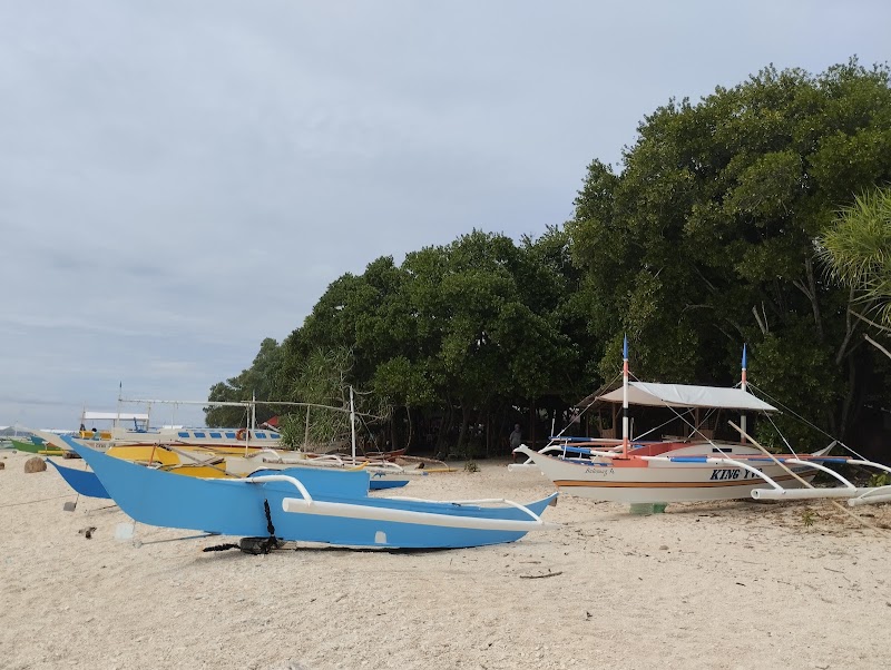 🪸 Island Hopping Tours Bohol Panglao - 🪸 Island Hopping Tours Bohol Panglao, Daorong Blvd, Danao, Panglao, 6320 Bohol, Philippines
