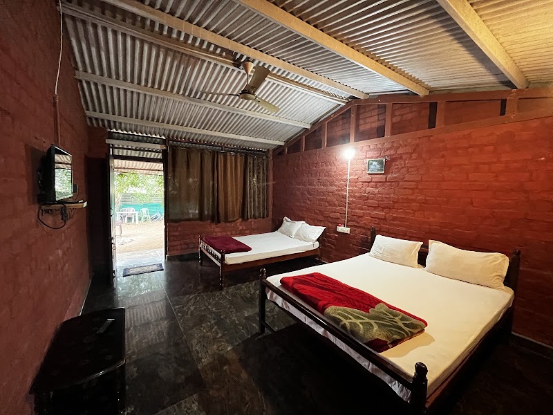 The Big Cat's Den - Maravakandy Resort, Masinagudi - The Big Cat's Den - Maravakandy Resort, Masinagudi behind Govt Silk farm, Masinagudi, Tamil Nadu 643223, India