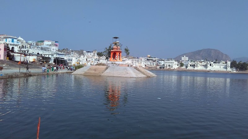 Tour Trip Mart - Tour Trip Mart, #251, Rajpur, Himachal Pradesh 176067, India