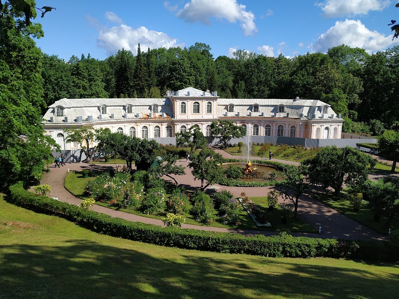Peterhof Palace - Peterhof Palace, Razvodnaya ulitsa, 2, Sankt-Peterburg, Russia