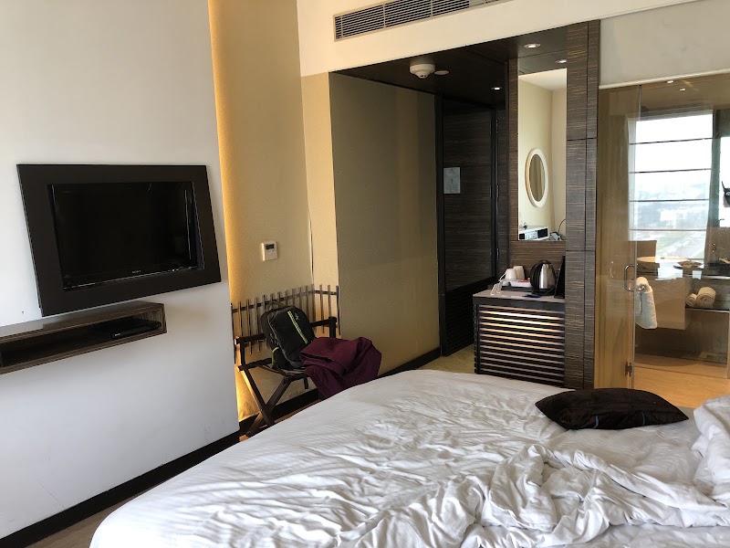 Park Plaza Delhi CBD Shahdara - Park Plaza Delhi CBD Shahdara Plot 32, Central Business Dist, 17/169, Karkari Rd, Bhikam Singh Colony, Block 17, Vishwas Nagar, Shahdara, Delhi, 110032, India