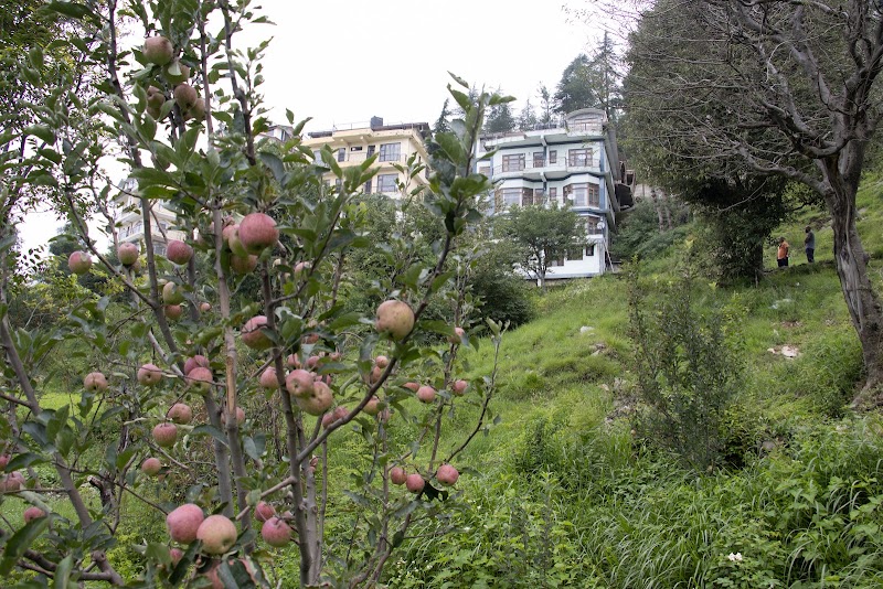 Unexplored Destinations - Unexplored Destinations, Dhagogi, Tehsil- Mashobra, Distt, Shimla, Himachal Pradesh 171007, India