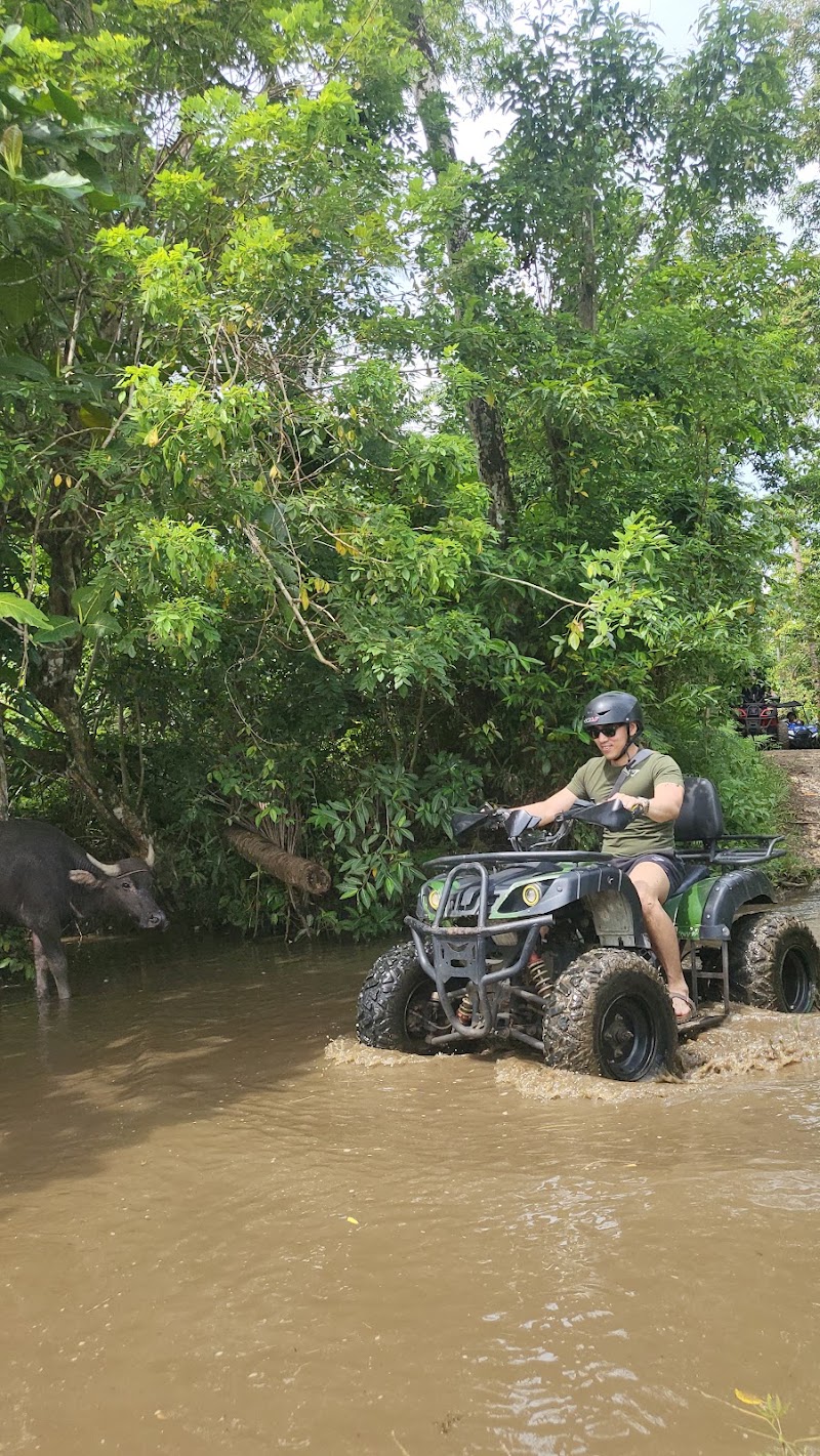 Wow Bohol Tours - Wow Bohol Tours, Purok 1 Tipolo, Panglao, 6300 Bohol, Philippines