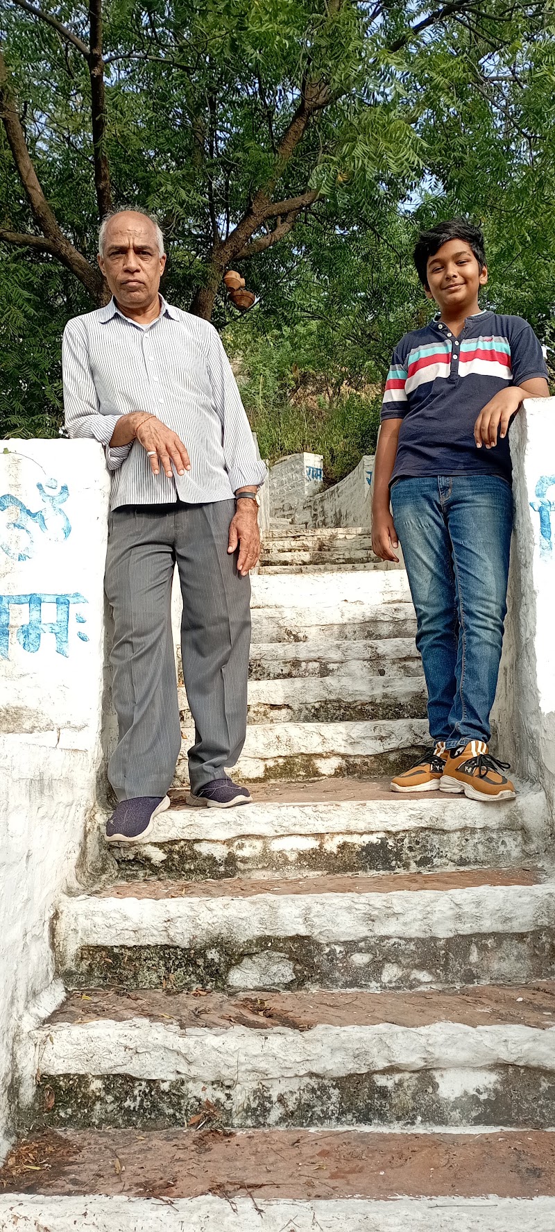 Green Wall - Green Wall 72Q3+WX9, Indira Colony, Pratap Nagar, Jodhpur, Rajasthan 342003, India
