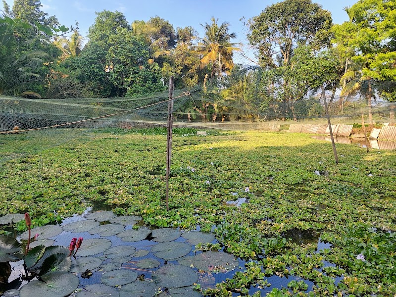 Alleppey 3 Palms Guesthouse - Alleppey 3 Palms Guesthouse, Thirumala, Alappuzha, Keralam 688011, India