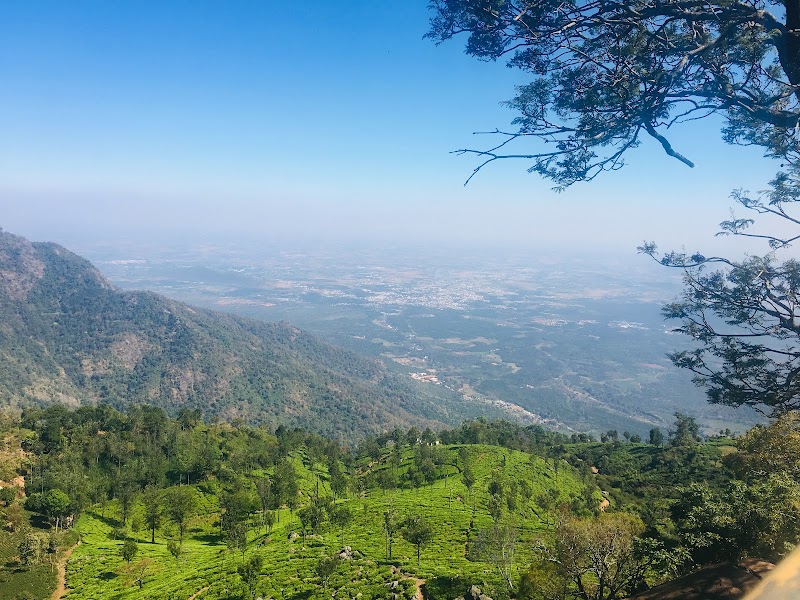 Tea Garden Tour - Tea Garden Tour 9R2C+8GP, Dolphin's Nose Rd, Alwarpet, Burliyar, Tamil Nadu 643102, India