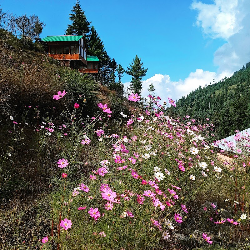 the fika homes, Gadagusain, HP(Slow living boutique home) - the fika homes, Gadagusain, HP(Slow living boutique home) H8C2+3XF, Khauli, Dpf Thunadigad, Himachal Pradesh 175123, India