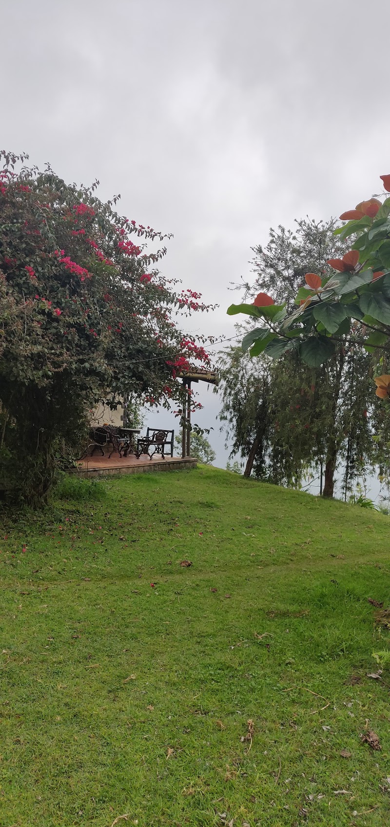 Acres Wild farmstay Coonoor - Acres Wild farmstay Coonoor, 571 Upper Meanjee Estate Kannimariamman, DM Kovil St, Coonoor, Tamil Nadu 643101, India