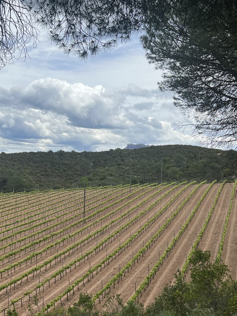 GO LOCAL Barcelona private tours, day trips. Wine, history, food, art, family friendly experiences - GO LOCAL Barcelona private tours, day trips. Wine, history, food, art, family friendly experiences, Carrer de Lafont, 6, Sants-Montjuïc, 08004 Barcelona, Spain