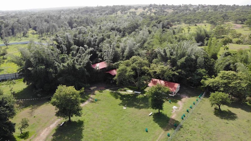 River Valley Resort - River Valley Resort Singara Rd, Masinagudi, Tamil Nadu 643223, India