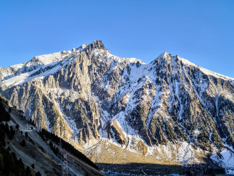 Zojila Pass - Zojila Pass, Forest Block 191202