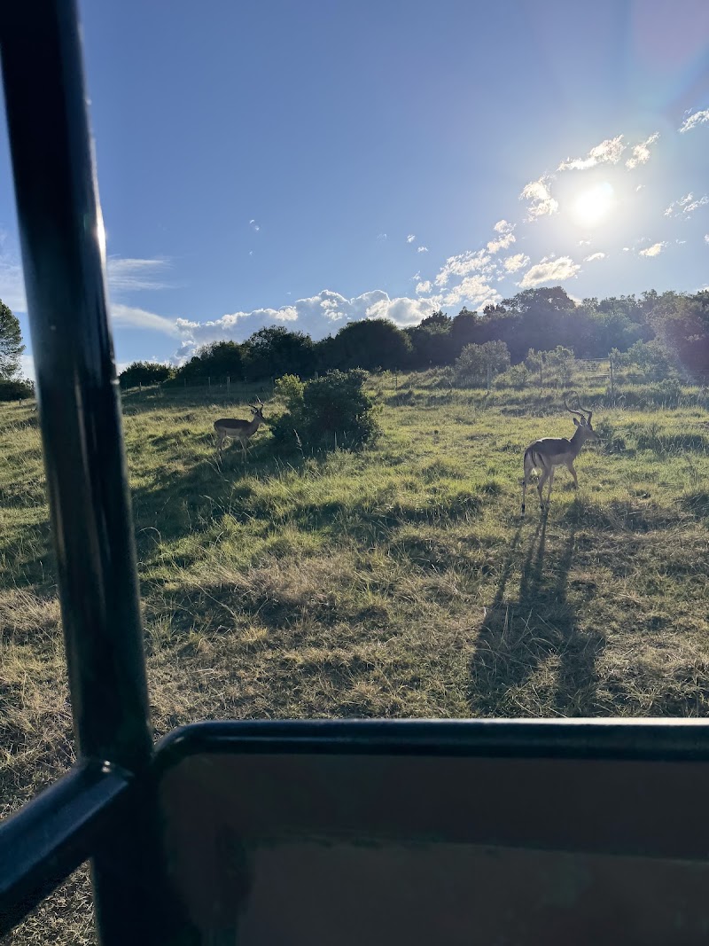 Kwantu Private Game Reserve - Kwantu Private Game Reserve, 1 Daniel street, Sidbury, 6130, South Africa
