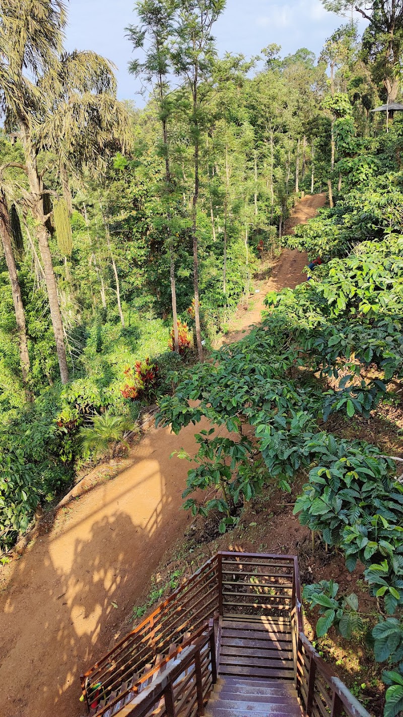 MOUNTAIN VIEW COFFEE PLANTATION - MOUNTAIN VIEW COFFEE PLANTATION shop spices, NH 275, near coorg, sandalkad, Madikeri, Ibnivalvadi Rural, Karnataka 571201, India