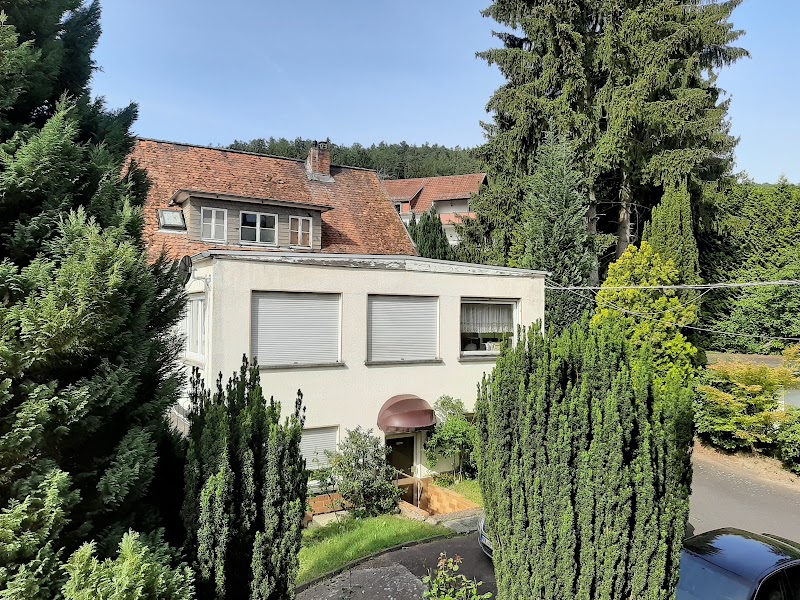 Hotel Olympia - Hotel Olympia, Lindenallee 42, 63619 Bad Orb, Germany