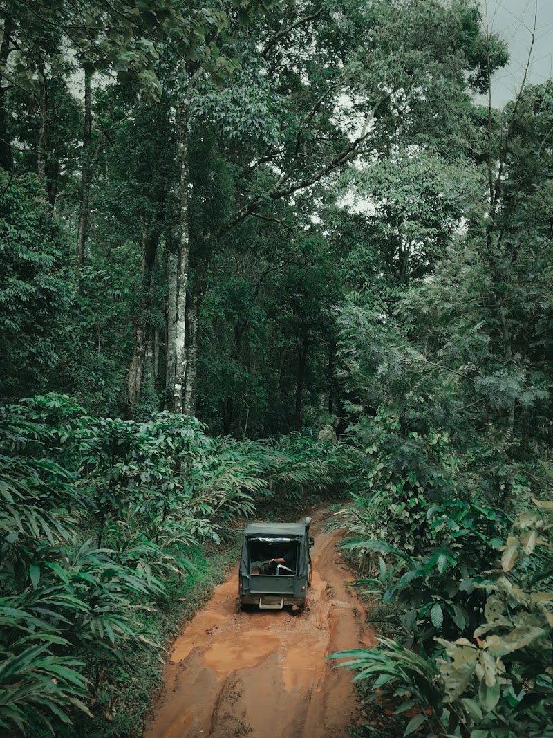 Utopia Wayanad - Utopia Wayanad, NO:8, Vellarimala ,Vellarimala ( PO Chooralmala, Meppadi, Vellarimala, Keralam 673577, India