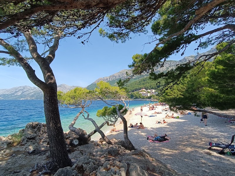 Punta Rata - Punta Rata, Croatia
