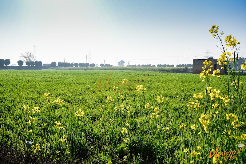 Prakash Farms farmhouse - Prakash Farms farmhouse, Sakatpur Rd, Palra, Haryana 122101, India