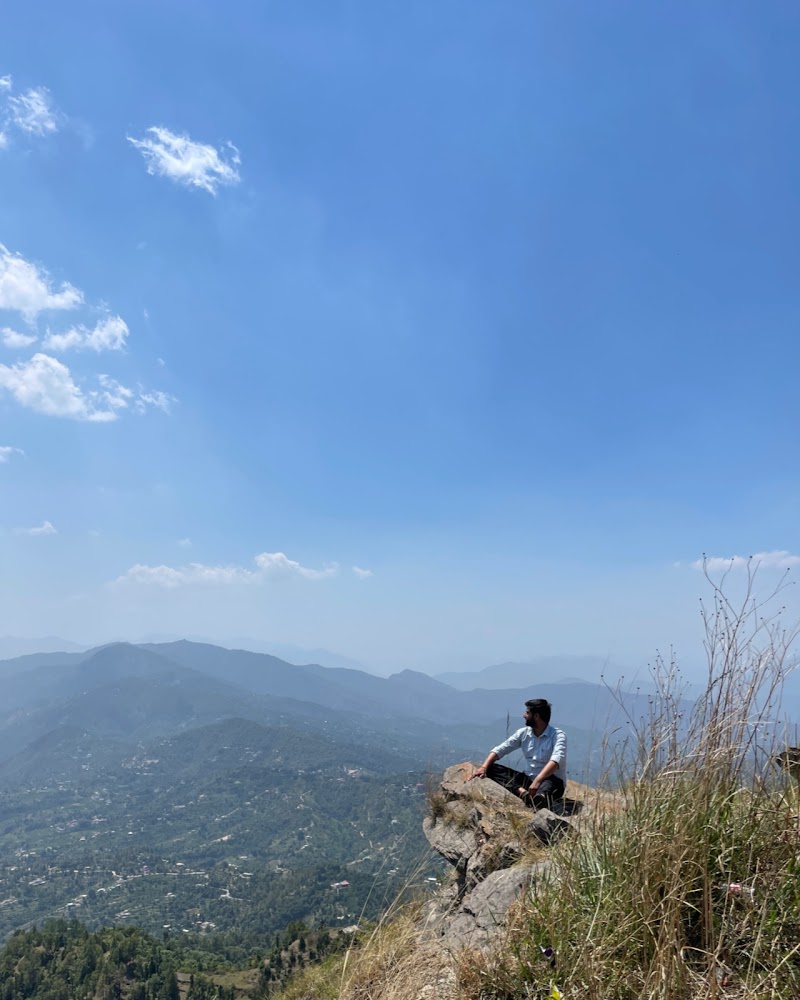 The Orchard Oasis - The Orchard Oasis, 144, Bhatt Estate, Darima, Mukteshwar, Uttarakhand 263138, India