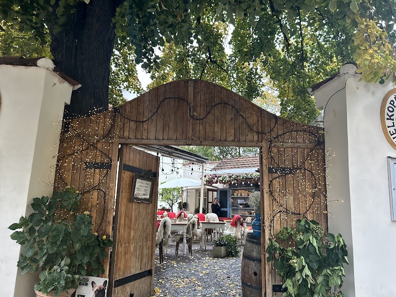 Velkopřevorský Mlýn - Velkopřevorský Mlýn 3, Hroznová 489, Malá Strana, 118 00 Praha-Praha 1, Czechia