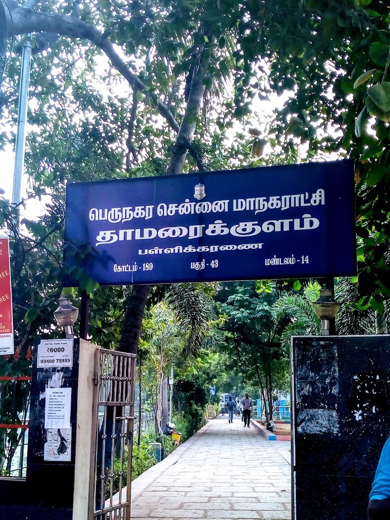 Lotus Pond - Lotus Pond Lotus Pond, Selvam Nagar, Pallikaranai, Chennai, Tamil Nadu 600100