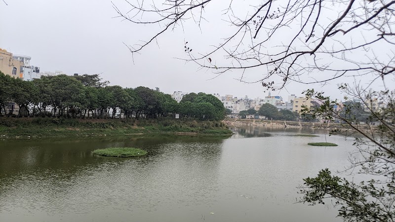 Puttenahalli Lake - Puttenahalli Lake Arekere MICO Layout Main Rd, Puttenahalli, JP Nagar 7th Phase, near MLR Convention Hall, Silver Oak Layout, JP Nagar 7th Phase, J. P. Nagar, Bengaluru, Karnataka 560078, India