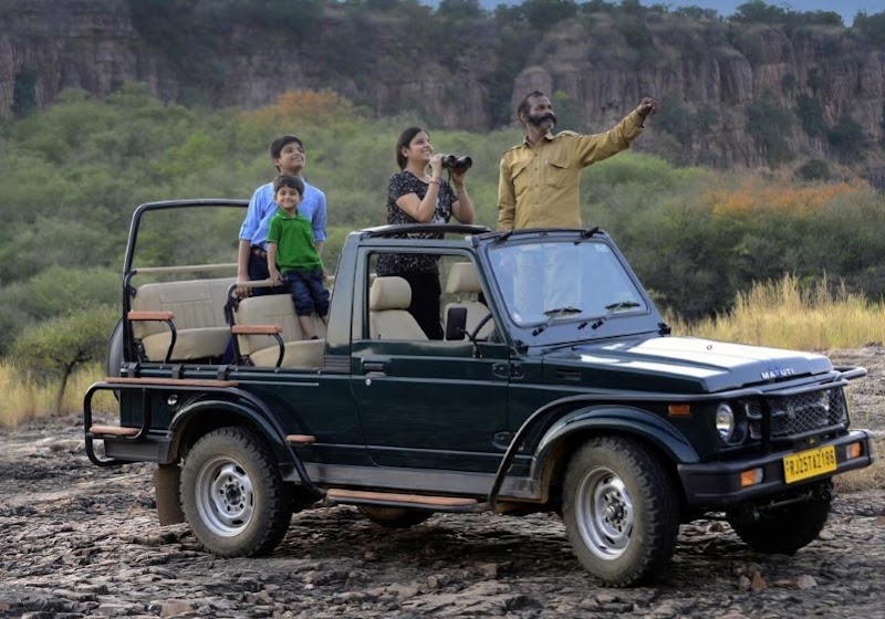 Sariska Safari Booking - Sariska Safari Booking Neare Sariska tiger reserve booking office, Ganeshpura With Rundh Kali Ghati, Rajasthan 301022, India