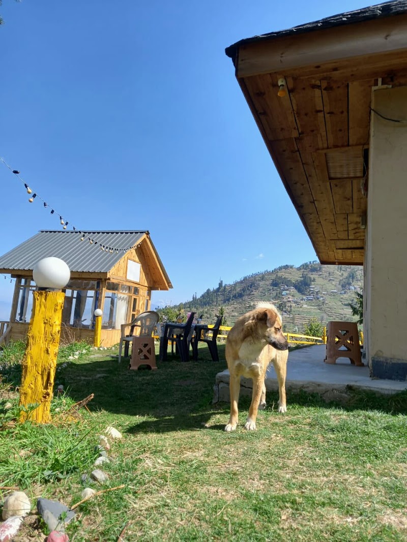 Purohit Travels & Cab services - Manali - Purohit Travels & Cab services - Manali, Lalit Sharma Bhajogi near Hadimba road, Distt, Siyal, Manali, Himachal Pradesh 175131, India
