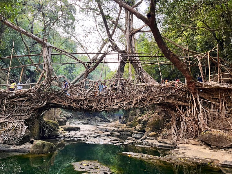 Living Root Bridge, Riwai Village
