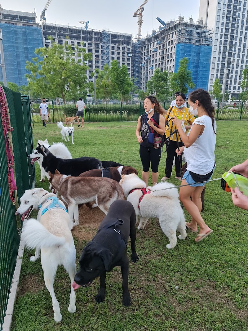 Dog Park - Dubai Hills Estate Park - Dog Park - Dubai Hills Estate Park, Unnamed Road - 466X+455 - حدائق الشيخ محمد بن راشد - دبي - United Arab Emirates