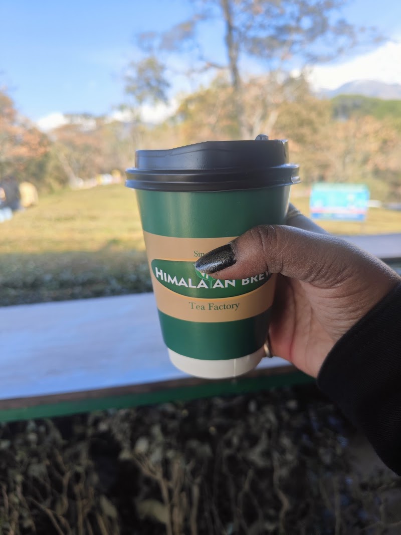 Tea Garden - Tea Garden, 6856+Q3W, Narghota Road, Dharamshala, Himachal Pradesh 176217, India