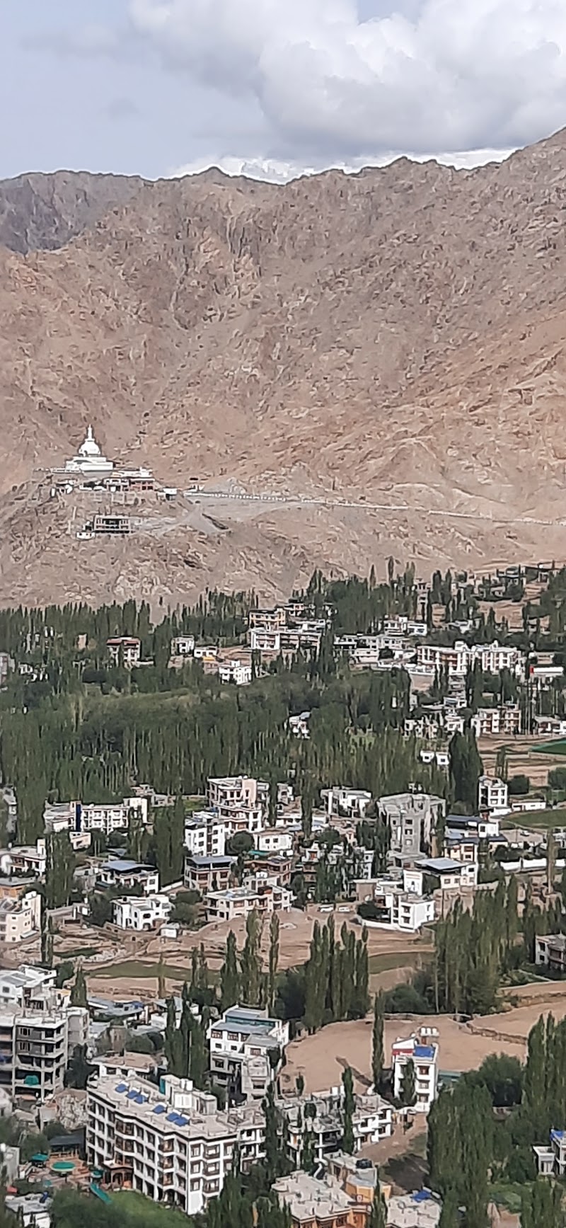 Green View Hotel - Green View Hotel Upper, Karzu Rd, Leh, 194101