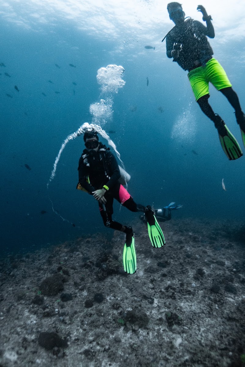 Orca Dive Club - Orca Dive Club 1/110 Shroff House, Opp Jijamata Nagar, Dr. E. Moses Road, Worli, Gandhi Nagar, Upper Worli, Worli, Mumbai, Maharashtra 400018, India