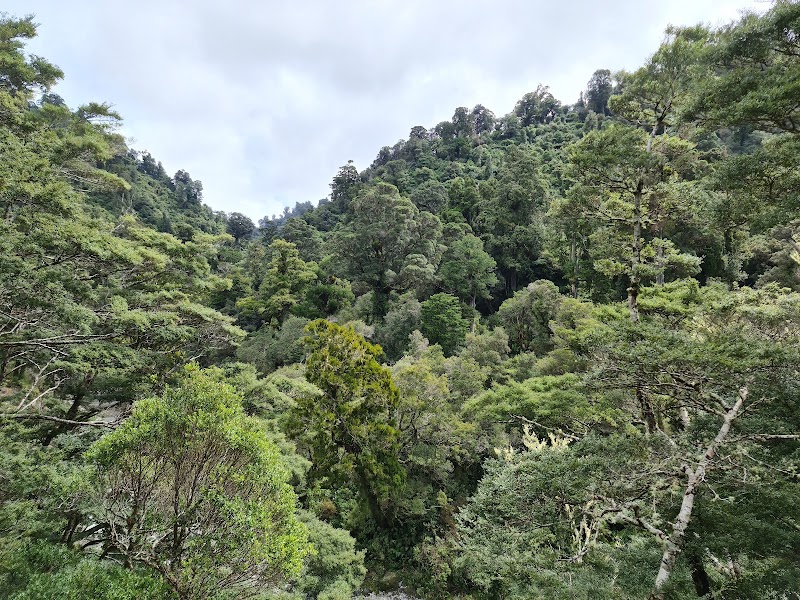 Kaitoke Regional Park - Kaitoke Regional Park, Kaitoke, Upper Hutt 5372, New Zealand