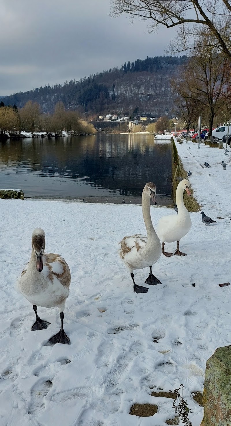 Wohnmobilstellplatz Eberbach - Wohnmobilstellplatz Eberbach, 69412 Eberbach, Germany