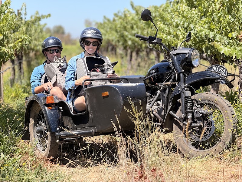 Sidecar Tours - Sidecar Tours, 39730 Calle Contento, Temecula, CA 92591, USA