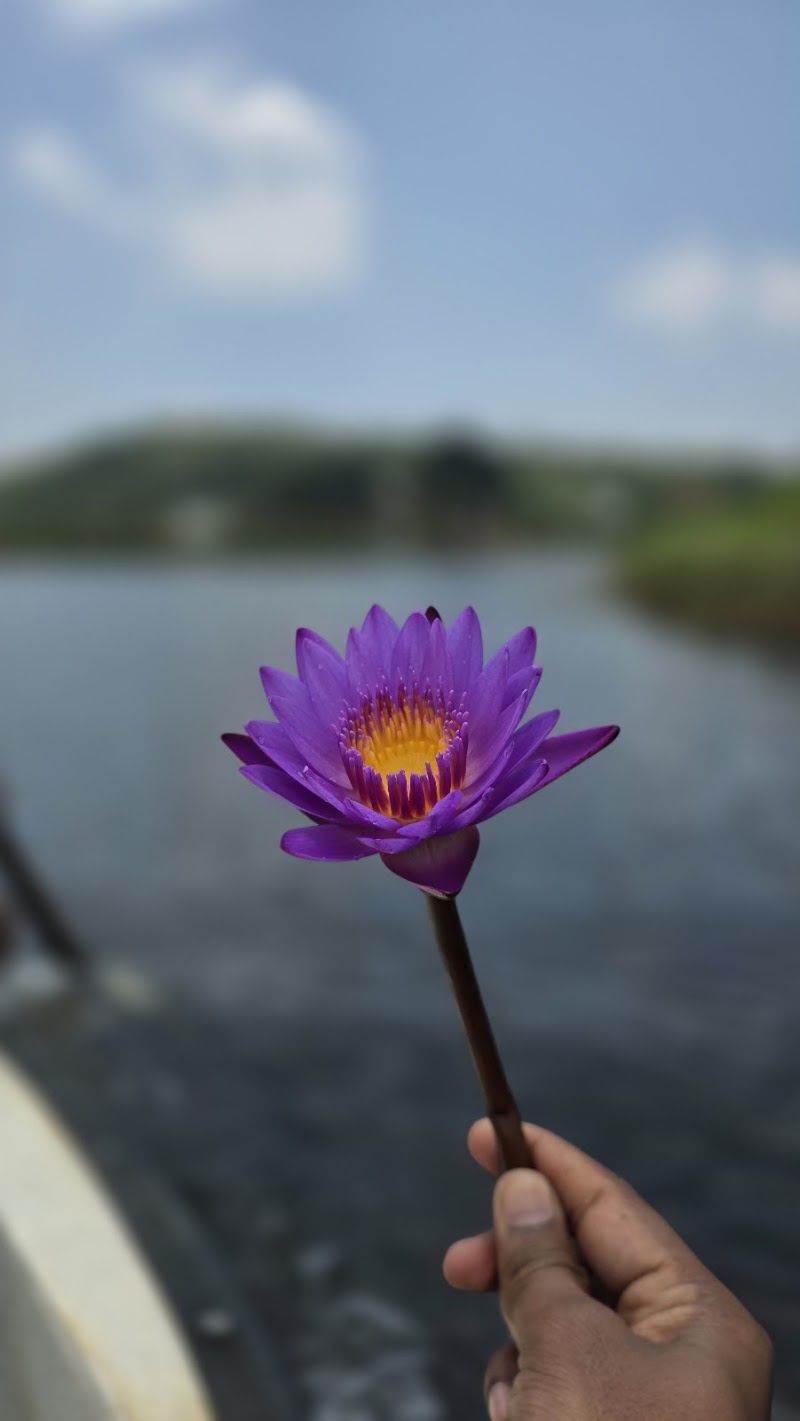 Meadows Lake Boating - Meadows Lake Boating MW99+PVC, Vagamon, Kolahalamedu, Keralam 685501, India