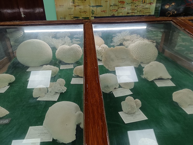 Marine Aquarium and Museum - Marine Aquarium and Museum, HJGR+H4J, Kavaratti, Lakshadweep 682555, India
