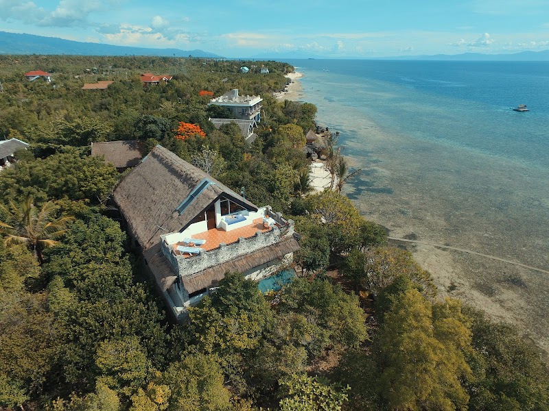 The Blue Orchid Resort - The Blue Orchid Resort Moalboal, Cebu, Philippines