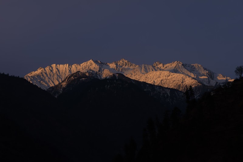 The Social Stays Tirthan - The Social Stays Tirthan, Gushaini, Himachal Pradesh, India, 175123 Gurshaini, Sharchi, Himachal Pradesh 175123, India