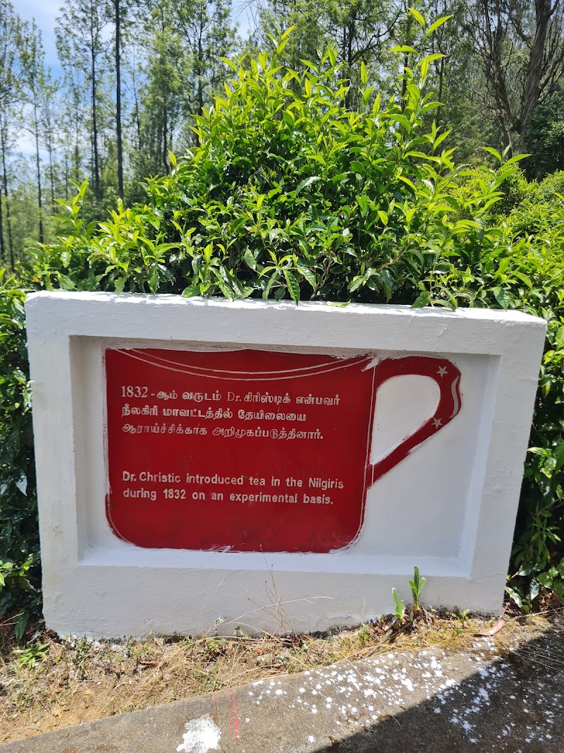 Tea Park - Tea Park CP6P+W93, Battarkambai, Tamil Nadu 643002, India