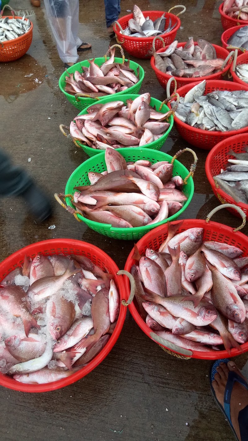 Fish market - Fish market, Malpe, Kola, Udupi, Karnataka 576108, India