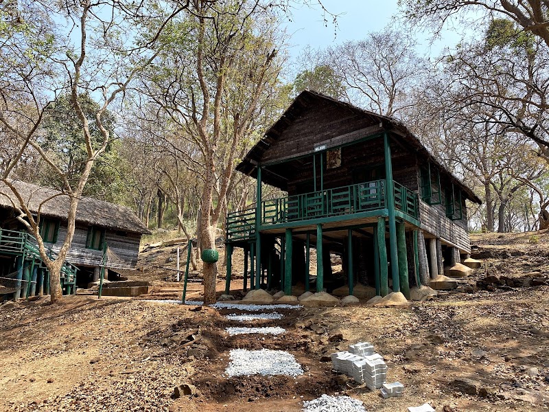 K Gudi Wilderness Camp-Jungle Lodges - K Gudi Wilderness Camp-Jungle Lodges, BR Hills Road, SH 80, Chamarajanagar, Karnataka 571342, India