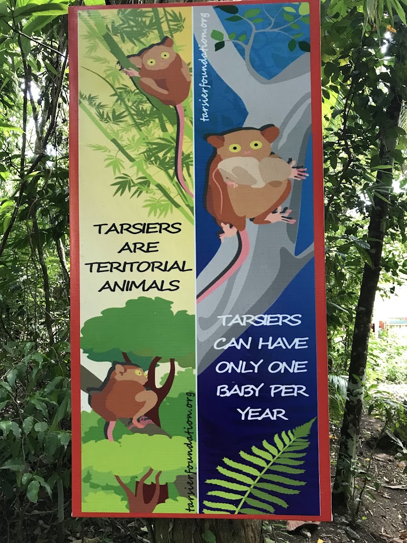Philippine Tarsier Sanctuary - Philippine Tarsier Sanctuary, Tarsier Sunctuary Rd, Corella, Bohol, Philippines