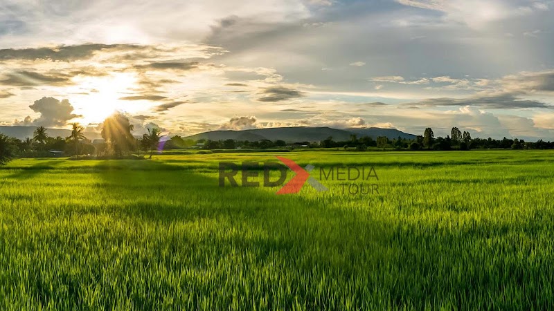 Kerala Tourism Information - Kerala Tourism Information, Kumaranellur, Kerala 679552, India